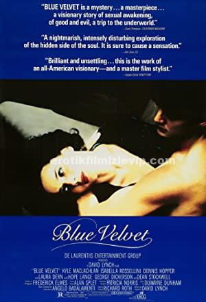 Mavi Kadife 1986 +18 Türkçe Dublaj Full Erotik Film izle