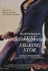 Olgun Kadının Genç Sevgilisi Türkçe Altyazılı Sexs Film izle
